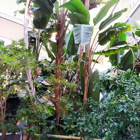 Alojamento de Acomodação e Pequeno-almoço Casa Felicidad Alghero